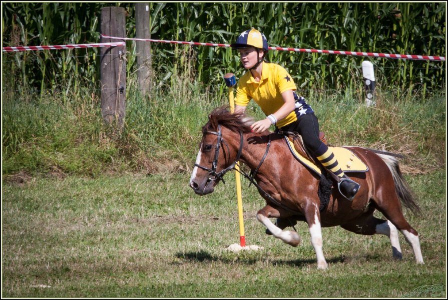 Mounted Games 023